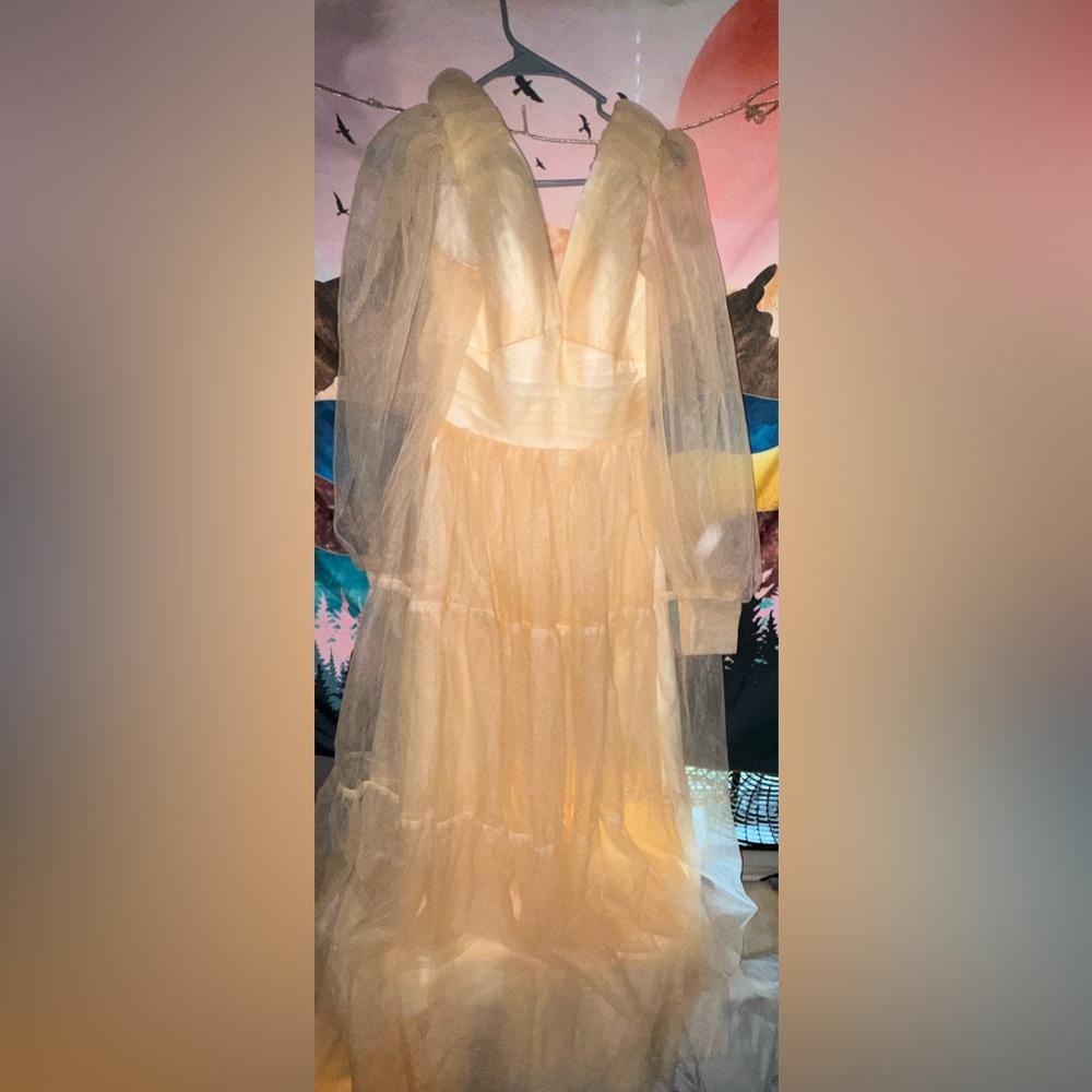 Elegant Peach Tulle Gown - Picture 3 of 3